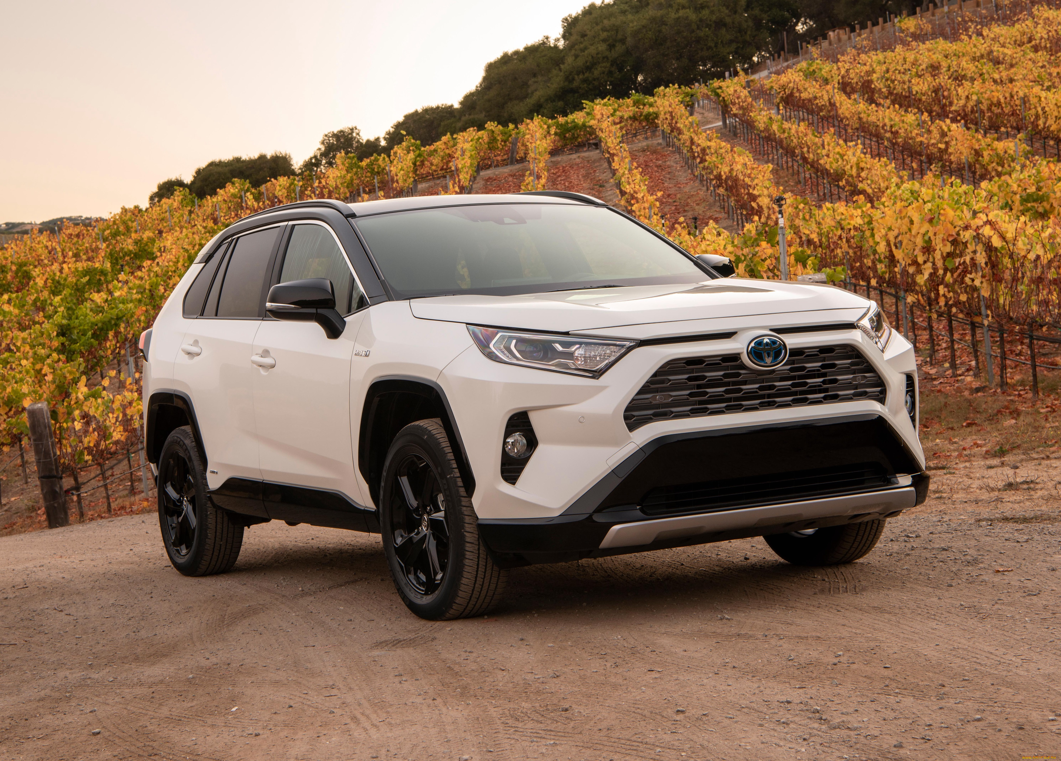 , toyota